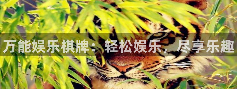 益达娱乐ccm赏金女王：万能娱乐棋牌：轻松娱乐，尽享乐趣