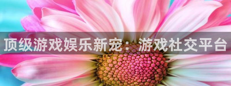 益达娱乐.ccmpc正版官网版下载：顶级游戏娱乐新宠：游戏社交平台