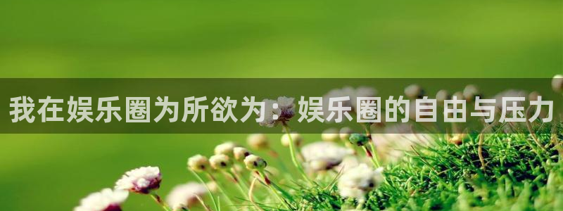 益达娱乐app哪个模式容易赢：我在娱乐圈为所欲为：娱乐圈的自由与压力
