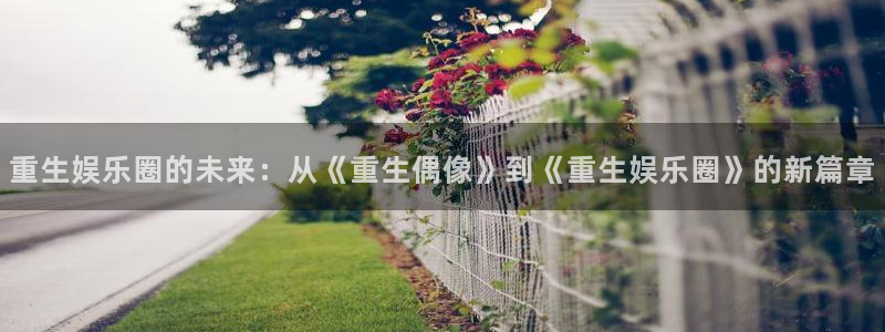 益达娱乐平台在线开户：重生娱乐圈的未来：从《重生偶像》到《重生娱乐圈》的新篇章