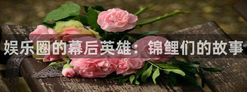 益达娱乐平台注册入口：娱乐圈的幕后英雄：锦鲤们的故事