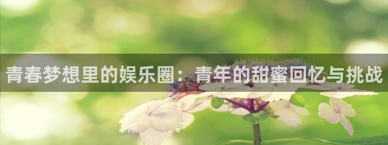 益达娱乐体育平台登录入口：青春梦想里的娱乐圈：青年的甜蜜回忆与挑战