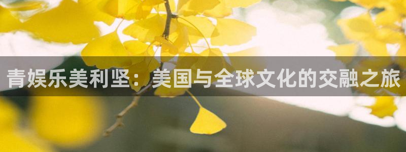 益达娱乐pg电子游戏在线玩：青娱乐美利坚：美国与全球文化的交融之旅