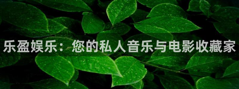 益达娱乐vk：乐盈娱乐：您的私人音乐与电影收藏家