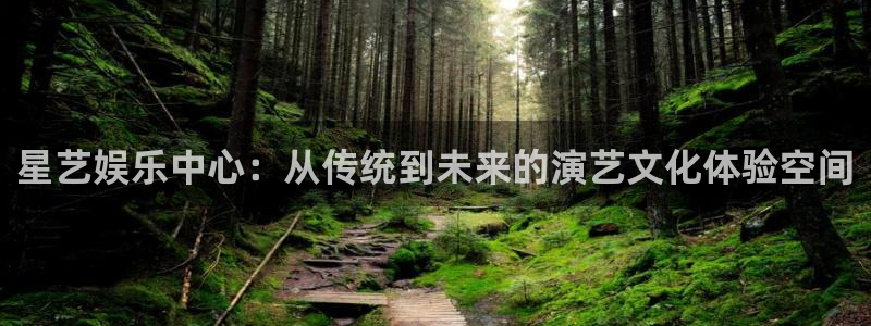 益达娱乐vip麻将胡了：星艺娱乐中心：从传统到未来的演艺文化体验空间
