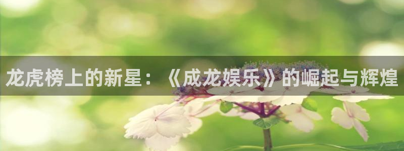 益达娱乐4平台：龙虎榜上的新星：《成龙娱乐》的崛起与辉煌