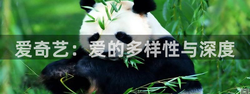 益达娱乐：爱奇艺：爱的多样性与深度