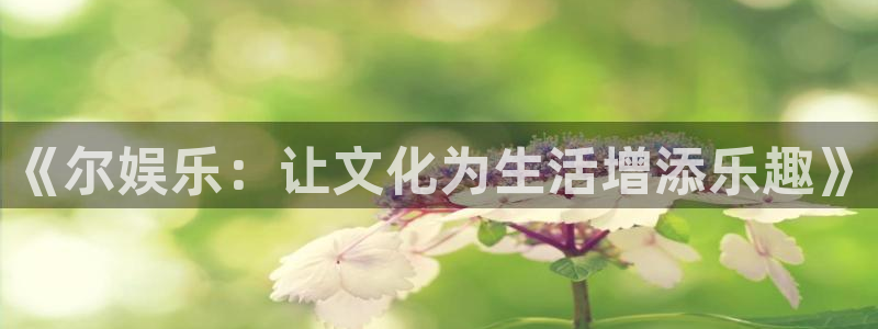 益达娱乐凯捷平台注册链接：《尔娱乐：让文化为生活增添乐趣》