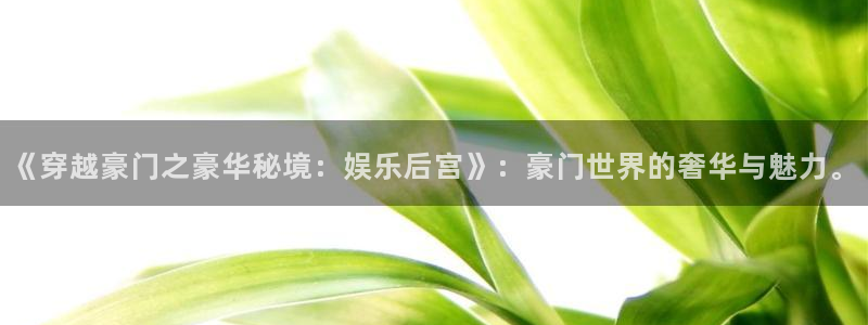 益达娱乐登陆：《穿越豪门之豪华秘境：娱乐后宫》：豪门世界的奢华与魅力。